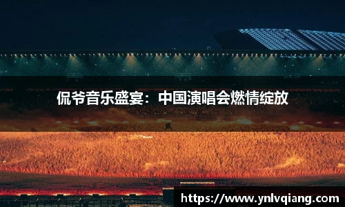 侃爷音乐盛宴：中国演唱会燃情绽放